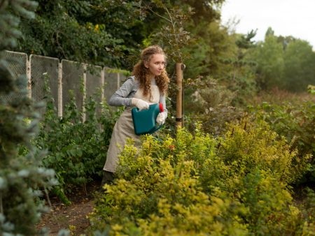 Conseils pour entretenir les plantes indigènes et favoriser la biodiversité